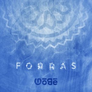 Góbé – Forrás borító